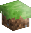 Grass